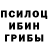 Галлюциногенные грибы Psilocybe MAKSIM OSLOPOV