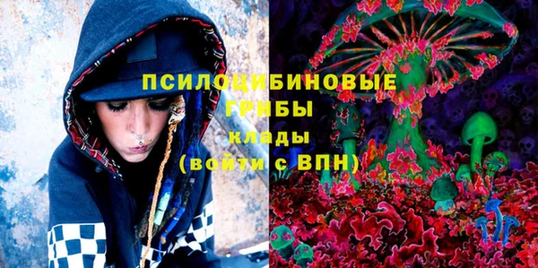 марки nbome Горняк