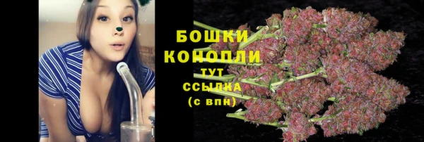 spice Горно-Алтайск