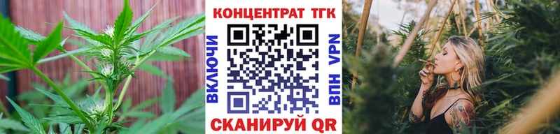 Дистиллят ТГК Wax Луза